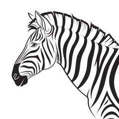 Zebra head illustration isolated on white background