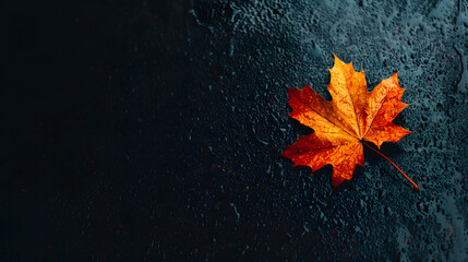 A bright orange maple leaf lies on a wet surface, showcasing autumn hues in soft natural light during fall