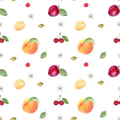 Seamless pattern with peaches, apricot, plum, cherry, raspberry, gooseberry, flower and leaf, hand drawn in watercolor.