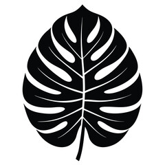 Black monstera leaf silhouette tropical plant foliage