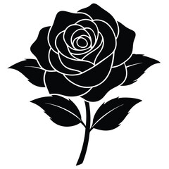 Black rose bloom with leaves petals