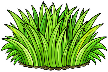 green grass on white background