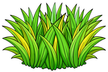 green grass on white background