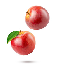 red apples isolated on white background