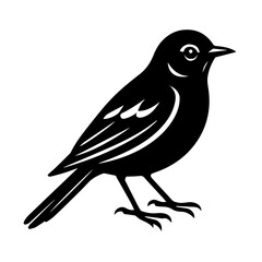 Black and White Bird Silhouette Vector Illustration