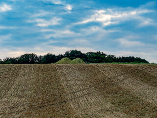 Stoppelfeld nach der Ernte 