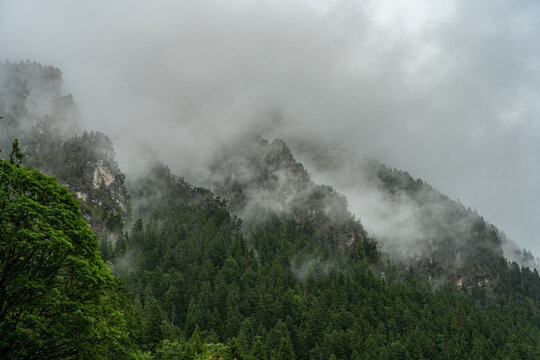 Plansee - Regenwolken im Wald - Tirol