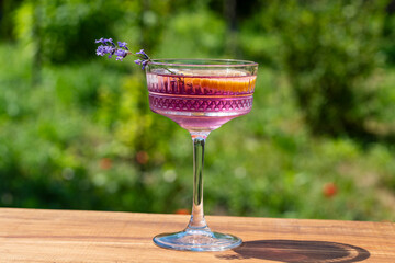 Bright cocktail or lemonade served in elegant crystal glass on wooden table against of a green summer garden. Purple color drink with lavender herb flowers and slice of lemon, closeup