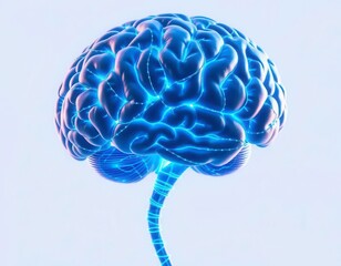 x-default Human Brain Anatomy, Neural Network, 3D Render