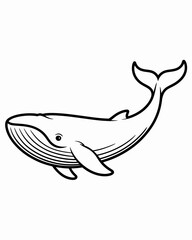  whale, line art, illustration, sea, ocean, marine, animal, drawing, sketch, mammal, underwater, wildlife, fish, nature, sea life, aquatic, oceanography, humpback, black and white, marine biology, cre