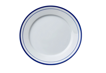 Overhead view of a round white plate with two blue decorative rims