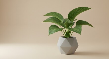 Stylized Geometric Potted Plant Modern Office Decor Concept for Workplace Wellness and Interior Design Inspiration
