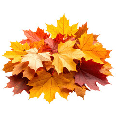 Obraz premium A pile of autumn leaves isolated on white and transparent background