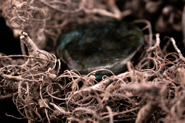 Polished labradorite with blue-green iridescence rests on a dark surface, surrounded by twisted dried vines. The mix of glossy stone and organic textures creates a serene, earthy still life