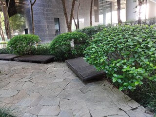 Evergreen Tree-Surrounded Tile Courtyard at Office Building Corner