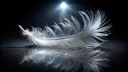 Obraz premium A single, delicate white feather rests on a dark reflective surface, illuminated by a soft light source, creating a serene and ethereal atmosphere.