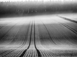 Black and white image showing parallel tractor lines across a cultivated field leading into soft...