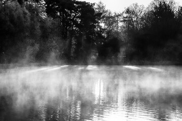 Black and white scene of early morning mist rising over still water surrounded by dense woodland in...