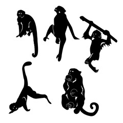 Monkey, Silhouette, Black and White, Vector, Swinging on a Vines, Sitting, Eating Fruit, Group of 5, Different Poses