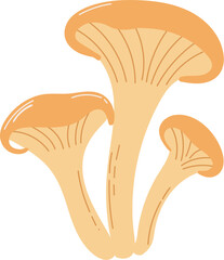 Chanterelle mushrooms illustration in hand-drawn style. Autumn woodland fungi clipart perfect for foraging, nature projects, and seasonal designs. PNG transparent background.