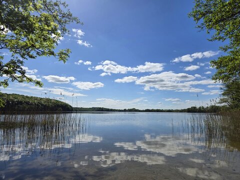 White clouds reflecting in the calm "black lake" near Dobbertin, Mecklenburg, Germany
