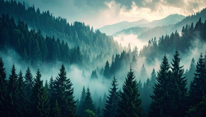 Misty landscape with fir forest in vintage retro style.