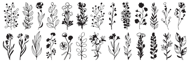 Black and white line art botanical illustrations of various flowers and leaves floral
