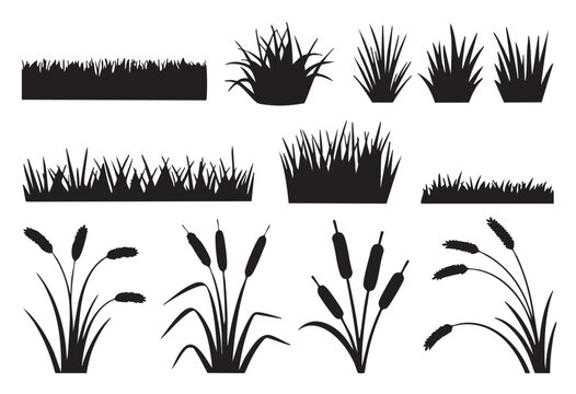 Black and white silhouette illustrations of grass and cattails nature