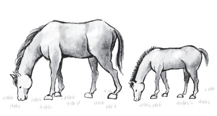 並んで草を食べる馬の親子の水墨画、午年の年賀状素材