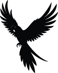 Obraz premium Macaw in flight silhouette isolated on transparent background