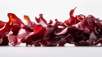 Close-up of vibrant red seaweed, showing texture and detail against a white background.