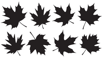 Eight black maple leaf silhouettes on a white background autumn fall