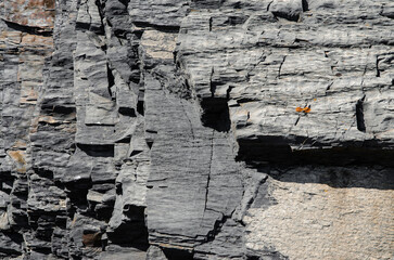 natural background of stone texture detailed close up