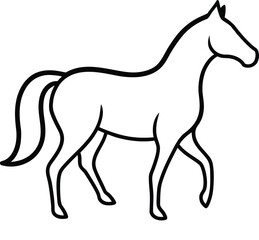 horse vector illustration