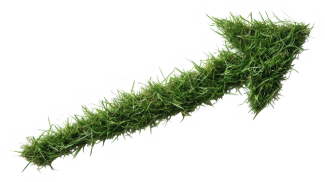 Green arrow made of grass pointing upwards in an transparent design