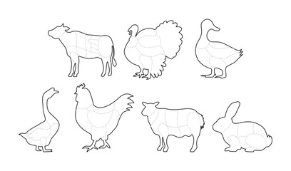 Set of Butcher Meat Cuts Poster Outline Collection, Chicken, Goat, Lamb, Rabbit, Duck, Chicken, Turkey, Goose meat cuts Line Art. Butchery Cattle Bbq, Posters groceries, butcher shop, meat store