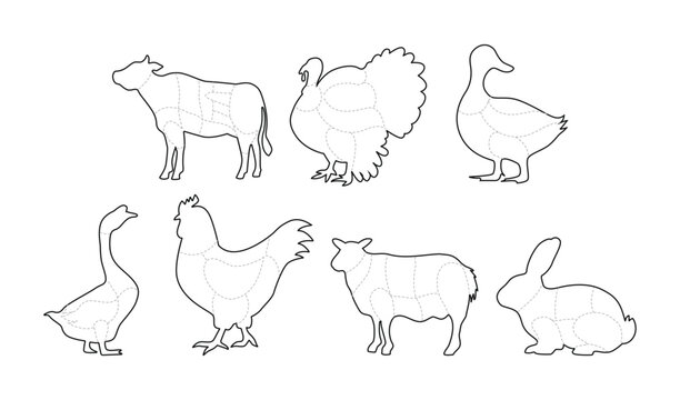 Set of Butcher Meat Cuts Poster Outline Collection, Chicken, Goat, Lamb, Rabbit, Duck, Chicken, Turkey, Goose meat cuts Line Art. Butchery Cattle Bbq, Posters groceries, butcher shop, meat store