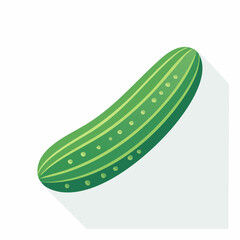 Illustration of a Fresh Green Cucumber on a White Background with a Long Shadow