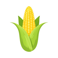 Obraz premium Cartoon illustration of ripe yellow corn on the cob with green husks against a solid black background