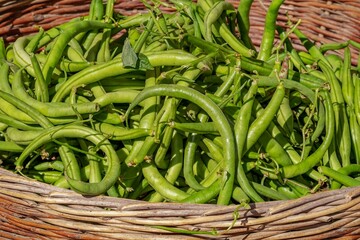 fresh green beans