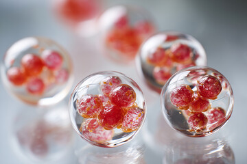 close-up of meat cells growing in transparent nutrient gel, biotechnology concept, 