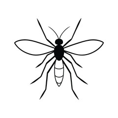 mosquito-head-on-white-background
