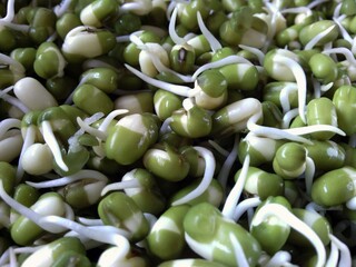 fresh green peas