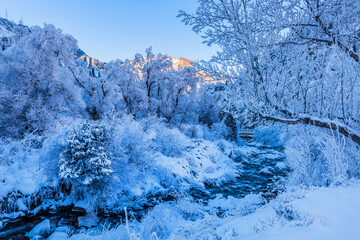 Picturesque landscape with snow-covered trees in the vicinity of the Kazakh city of Almaty in the Trans-Ili Alatau mountains