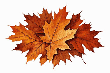 Whispers in Green Maple leaf pile The most beautiful leaves isolated watercolor vector illustration svg