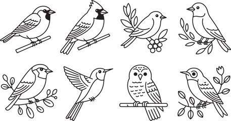 Charming Line Art Bird Collection Vector Illustration with Delicate Branch Details and Transparent Backdrop