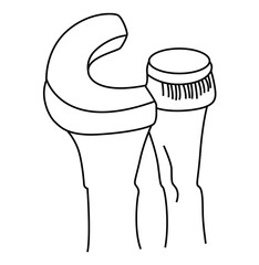 Science of hand drawn vector bone joint ball and socket outline.