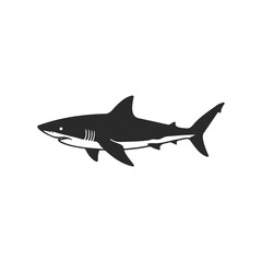 Obraz premium Silhouette of great white shark on white background