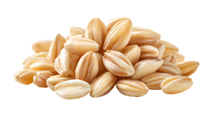 Organic spelt grains healthy food nutrition pile closeup