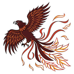 Obraz premium eagle with wings